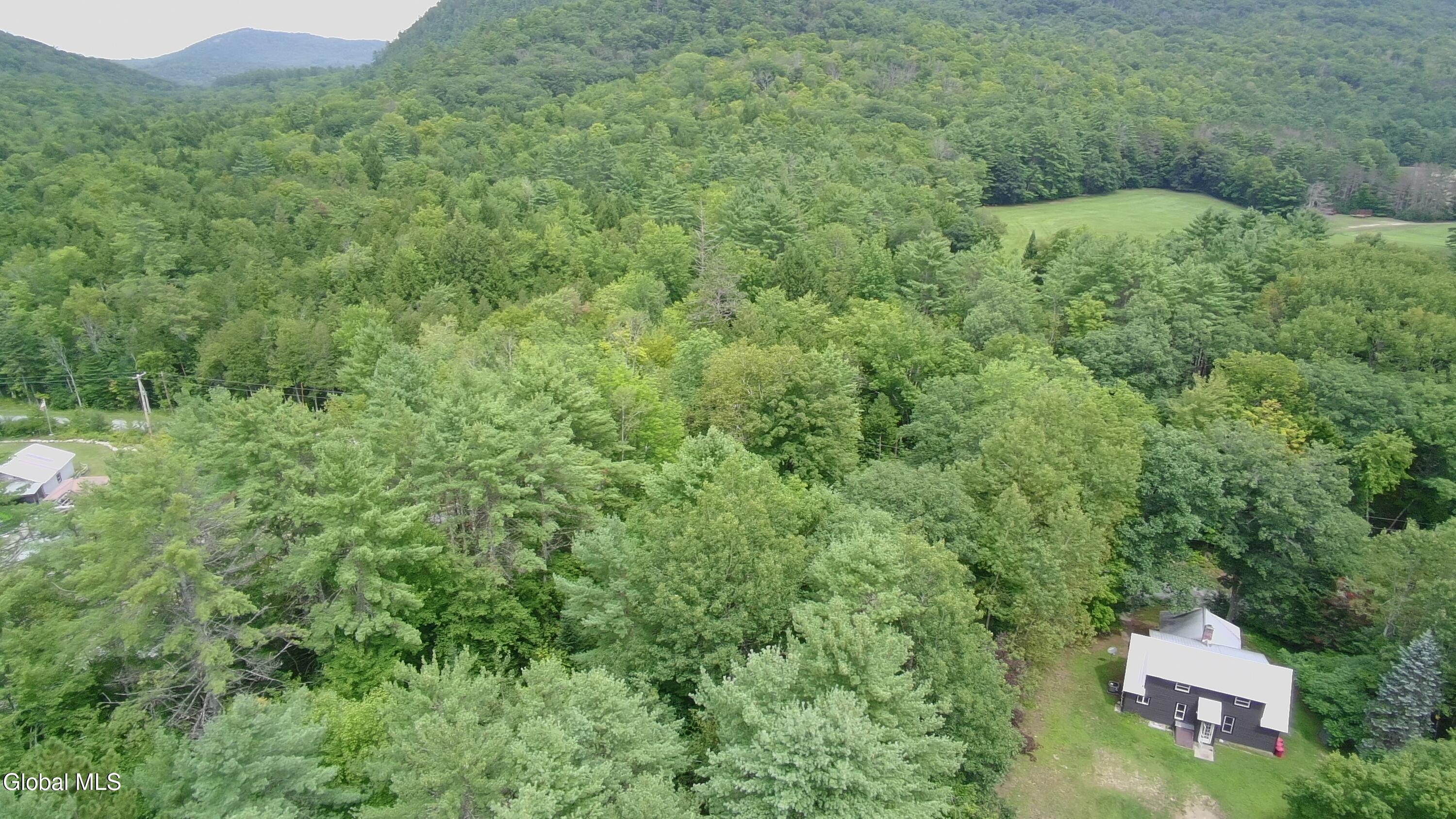 668 Beaver Pond Road Brant Lake NY 12815