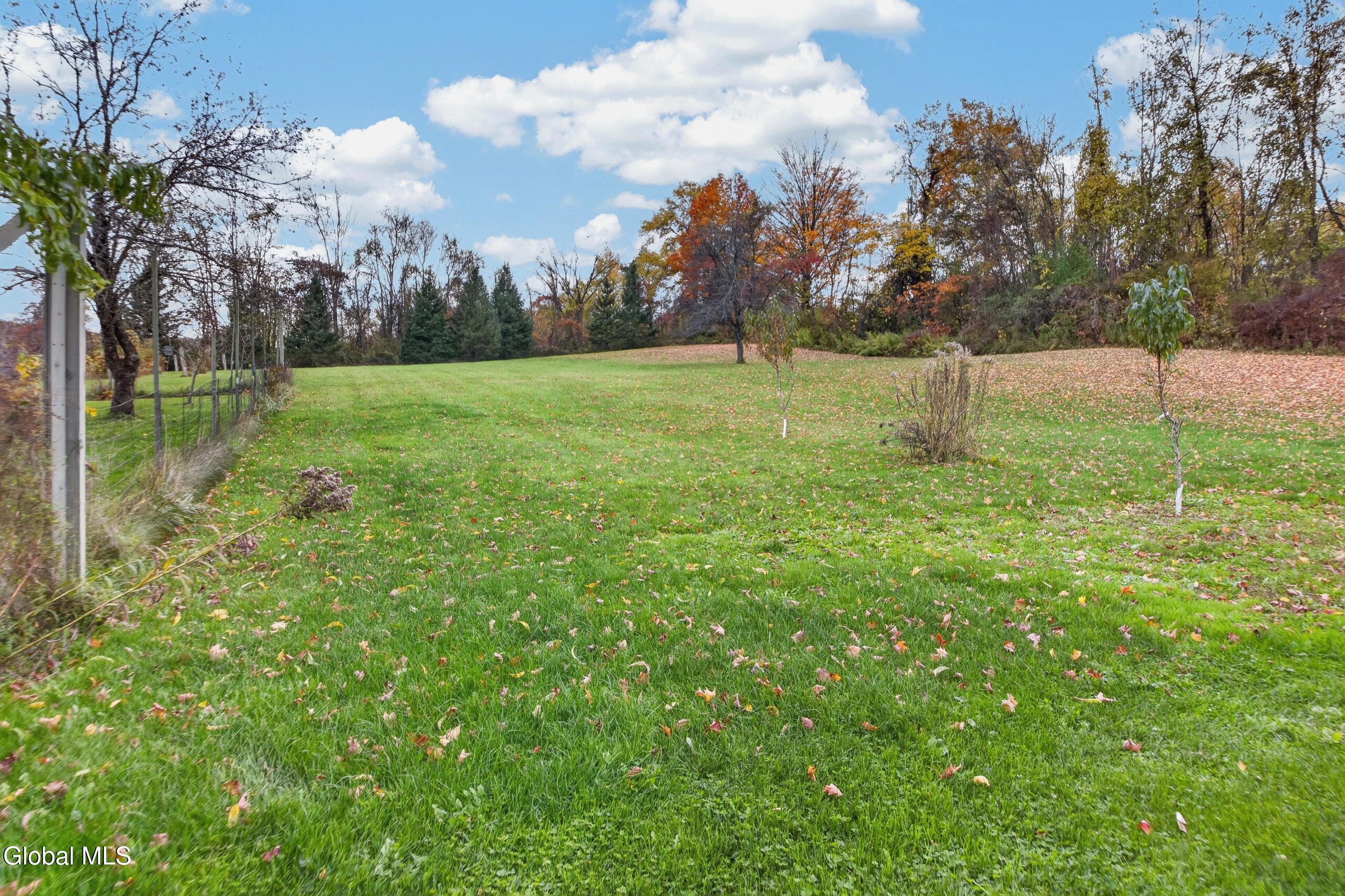 441 Rosenberg Road Sharon Springs NY 13459
