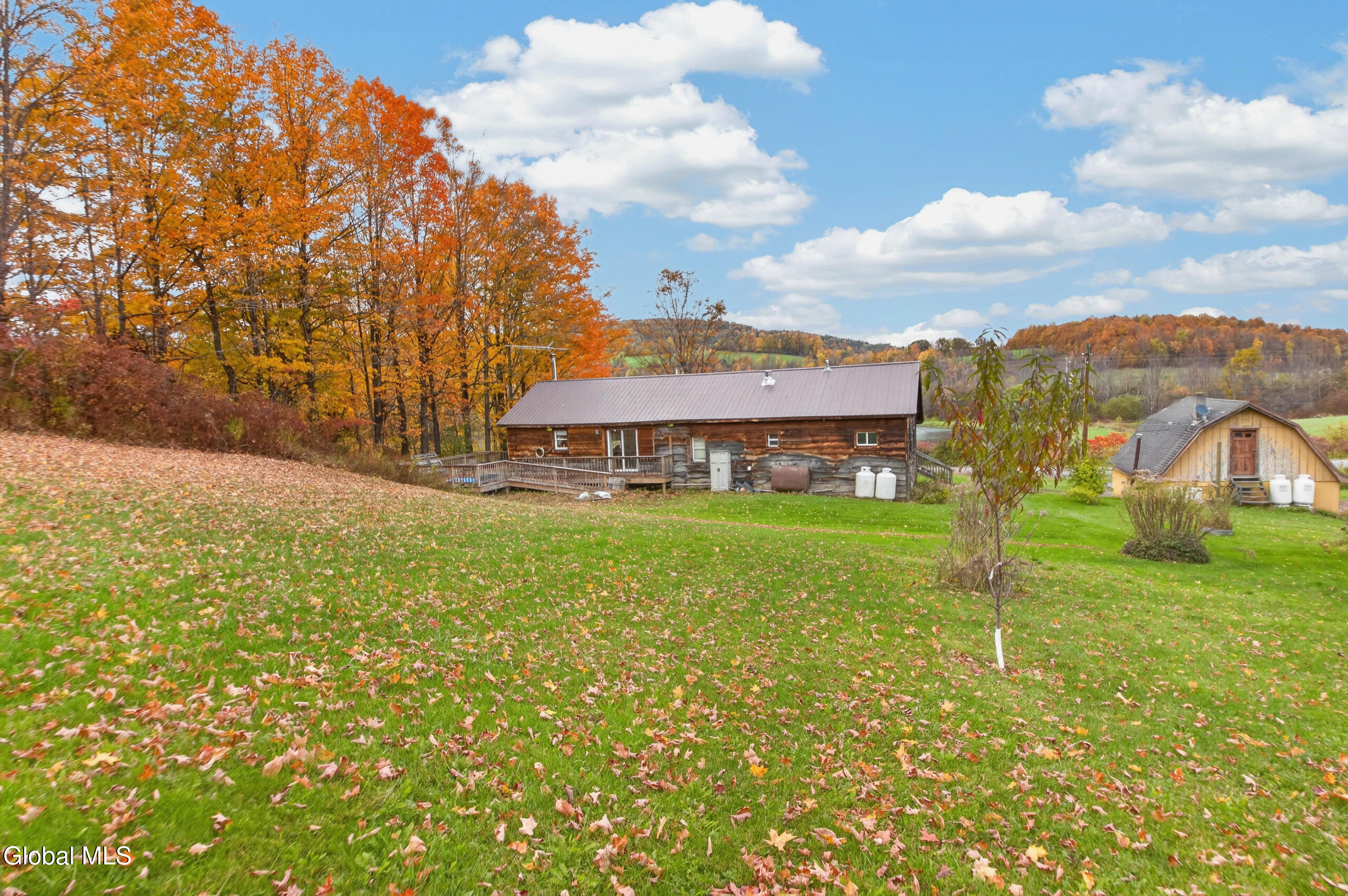 441 Rosenberg Road Sharon Springs NY 13459