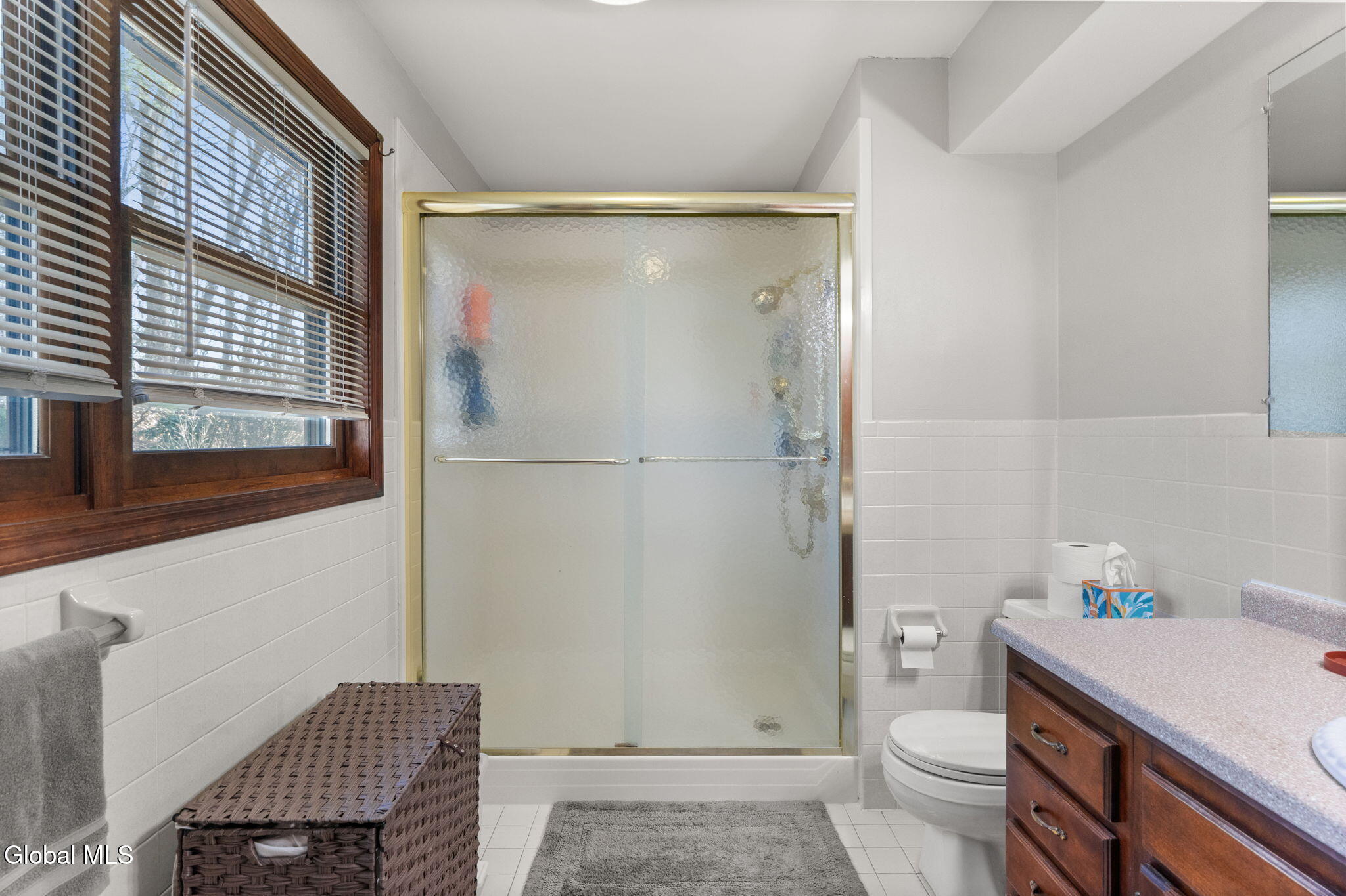 19 Crown Point Ballston Lake NY 12019