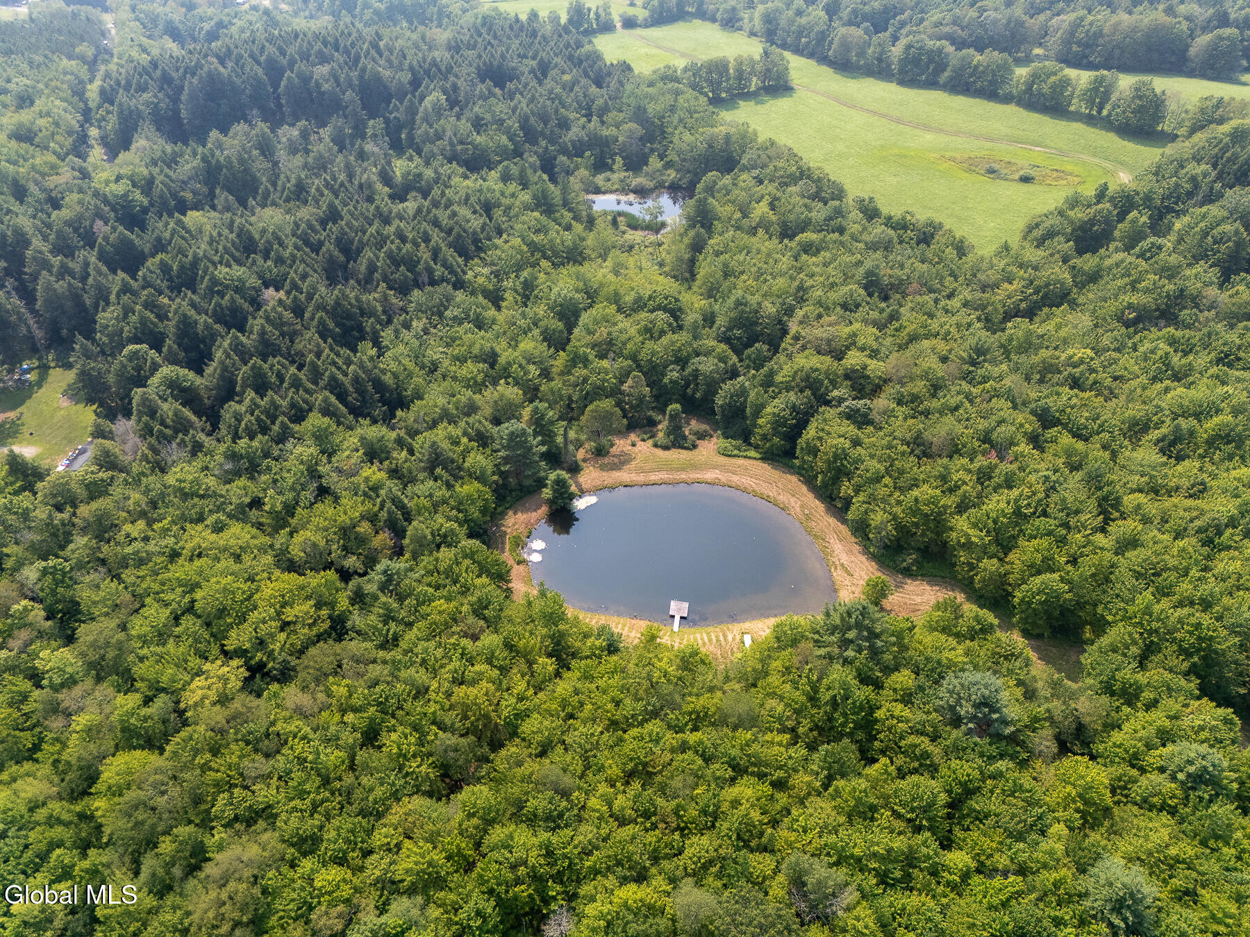 396 Austin Road Jefferson NY 13786