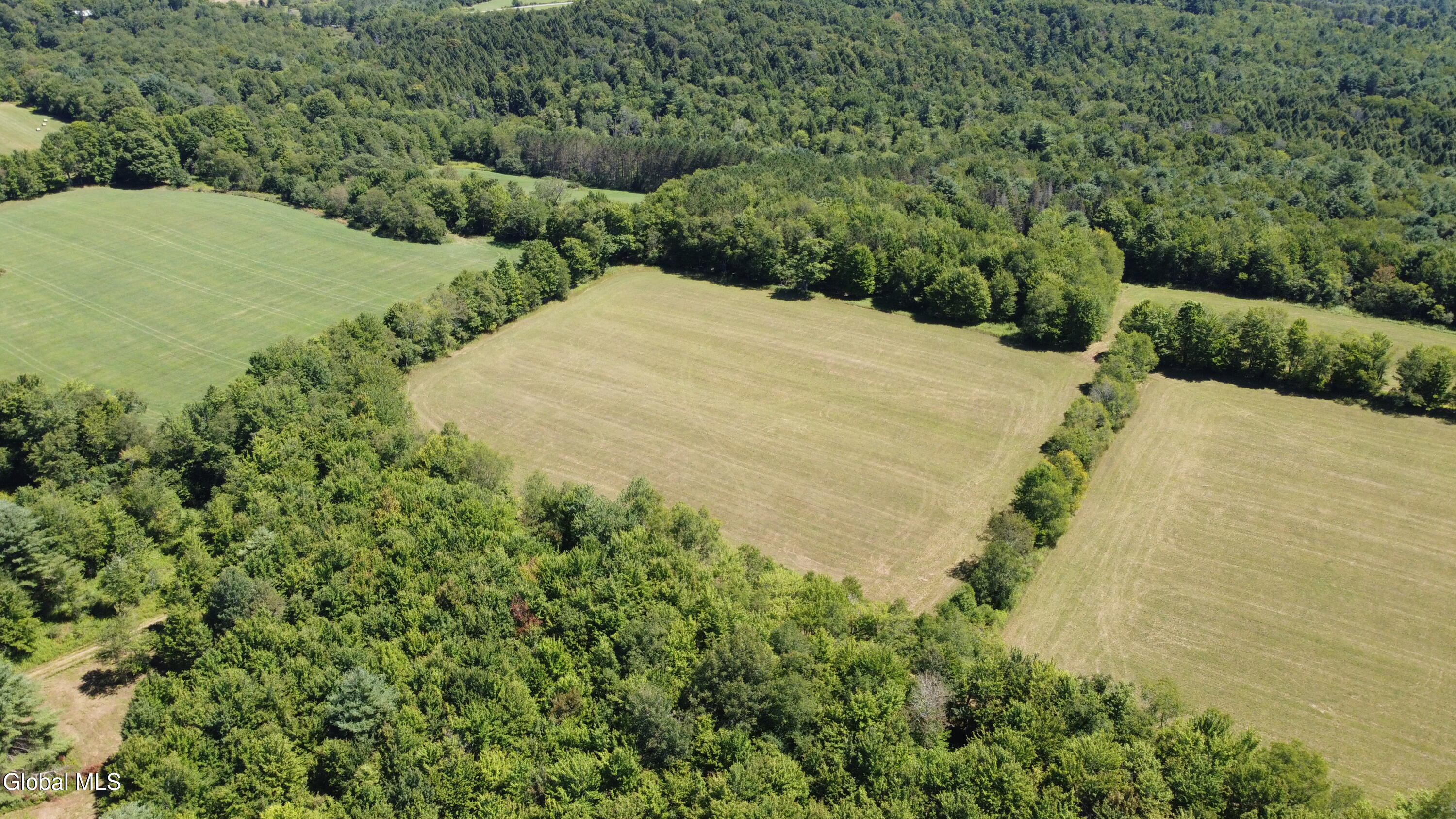 396 Austin Road Jefferson NY 13786