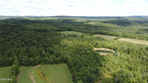 396 Austin Road Jefferson NY 13786