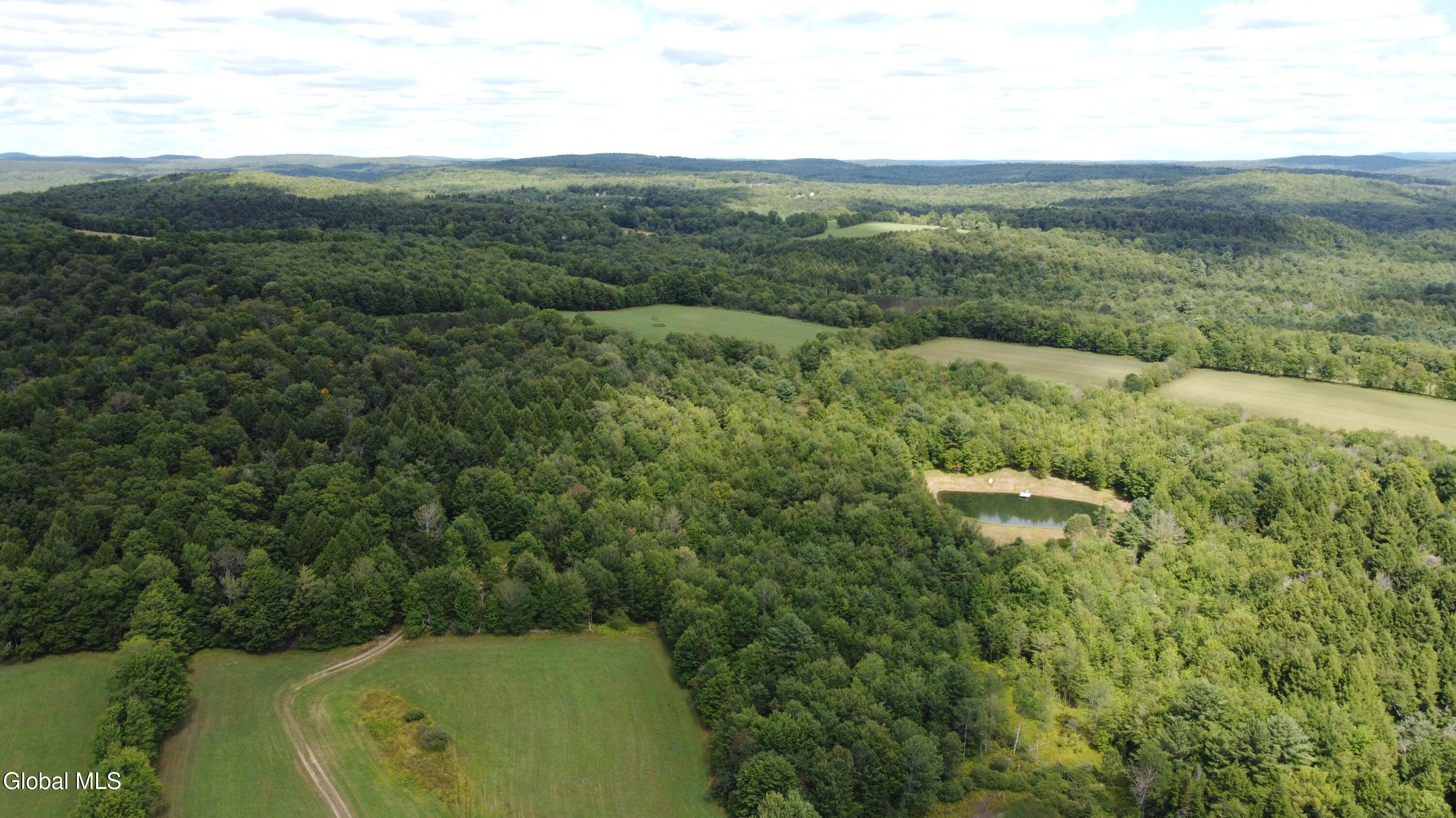 396 Austin Road Jefferson NY 13786