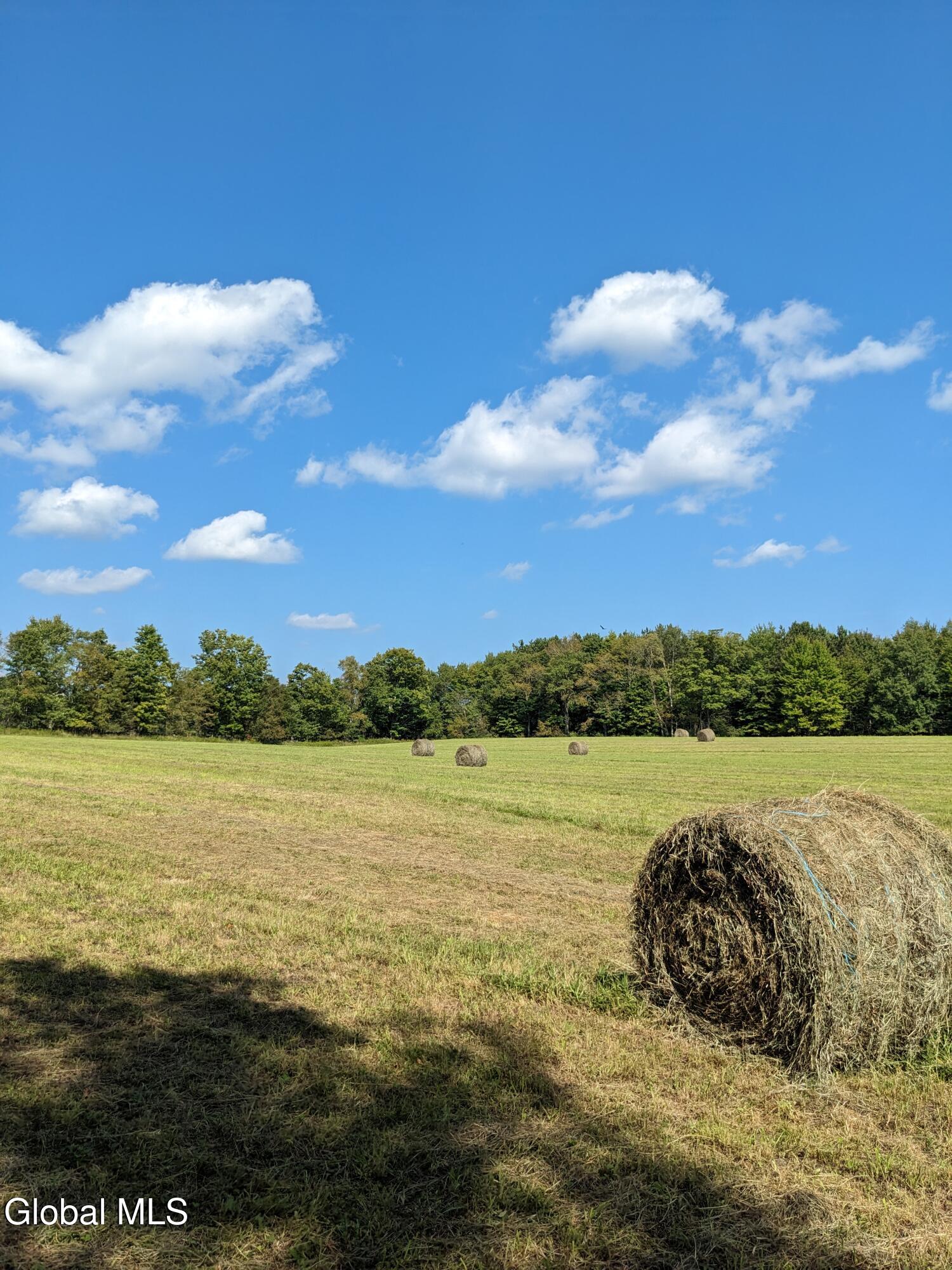 396 Austin Road Jefferson NY 13786