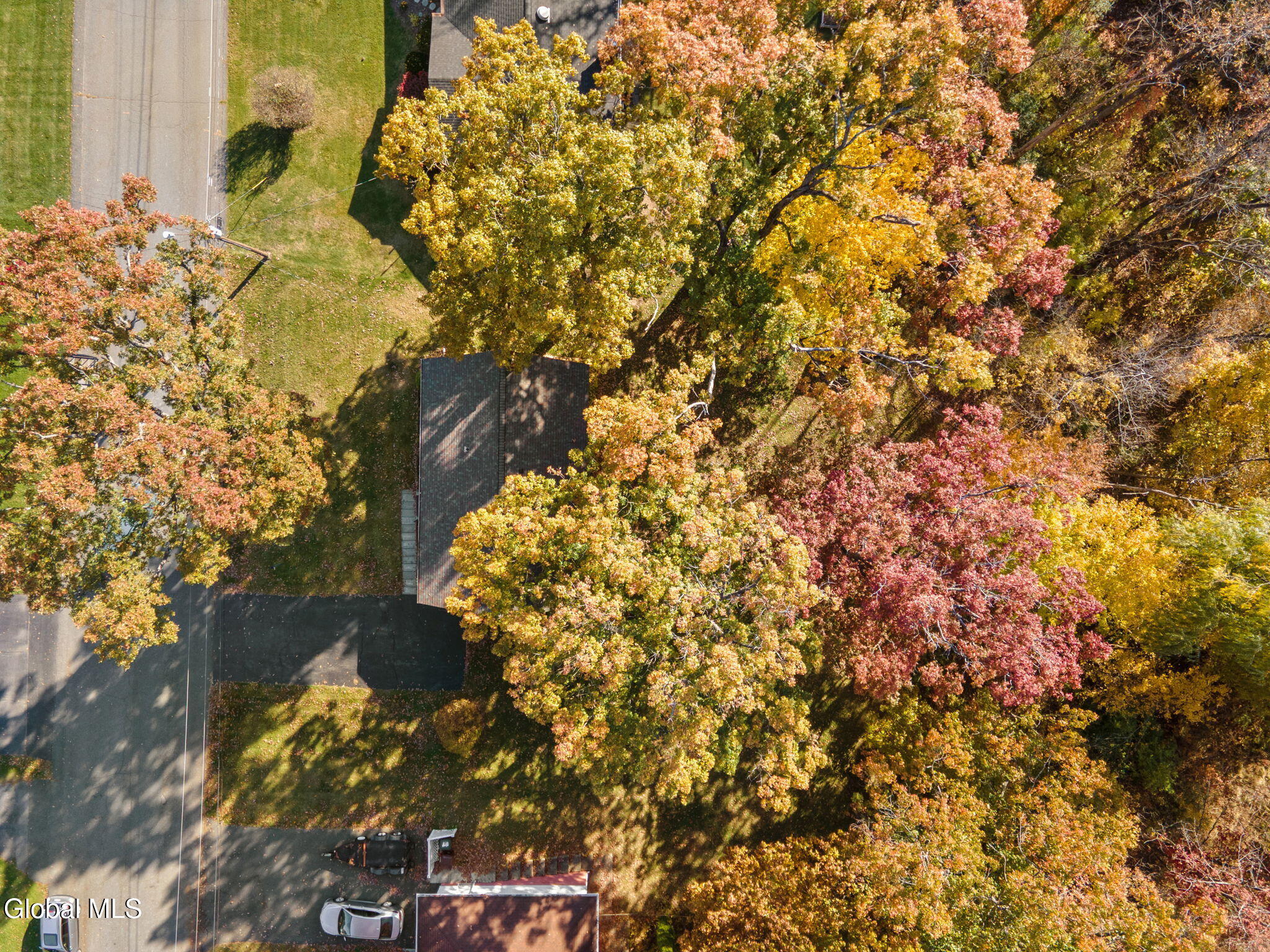 85 Woodlawn Drive Ravena NY 12143