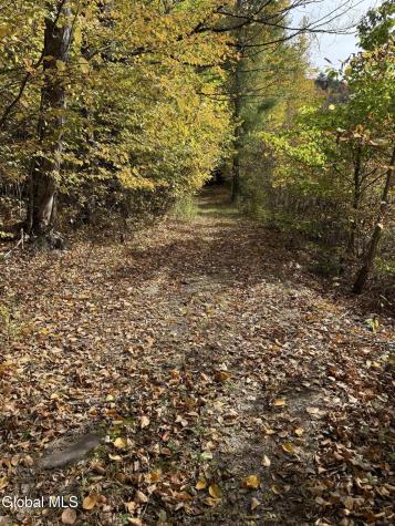 136 South Road Whitehall NY 12887