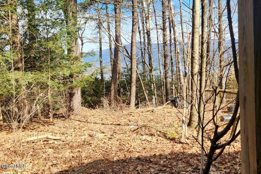15 Braley Lane Bolton Landing NY 12814