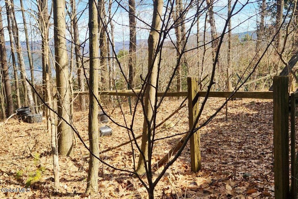 15 Braley Lane Bolton Landing NY 12814