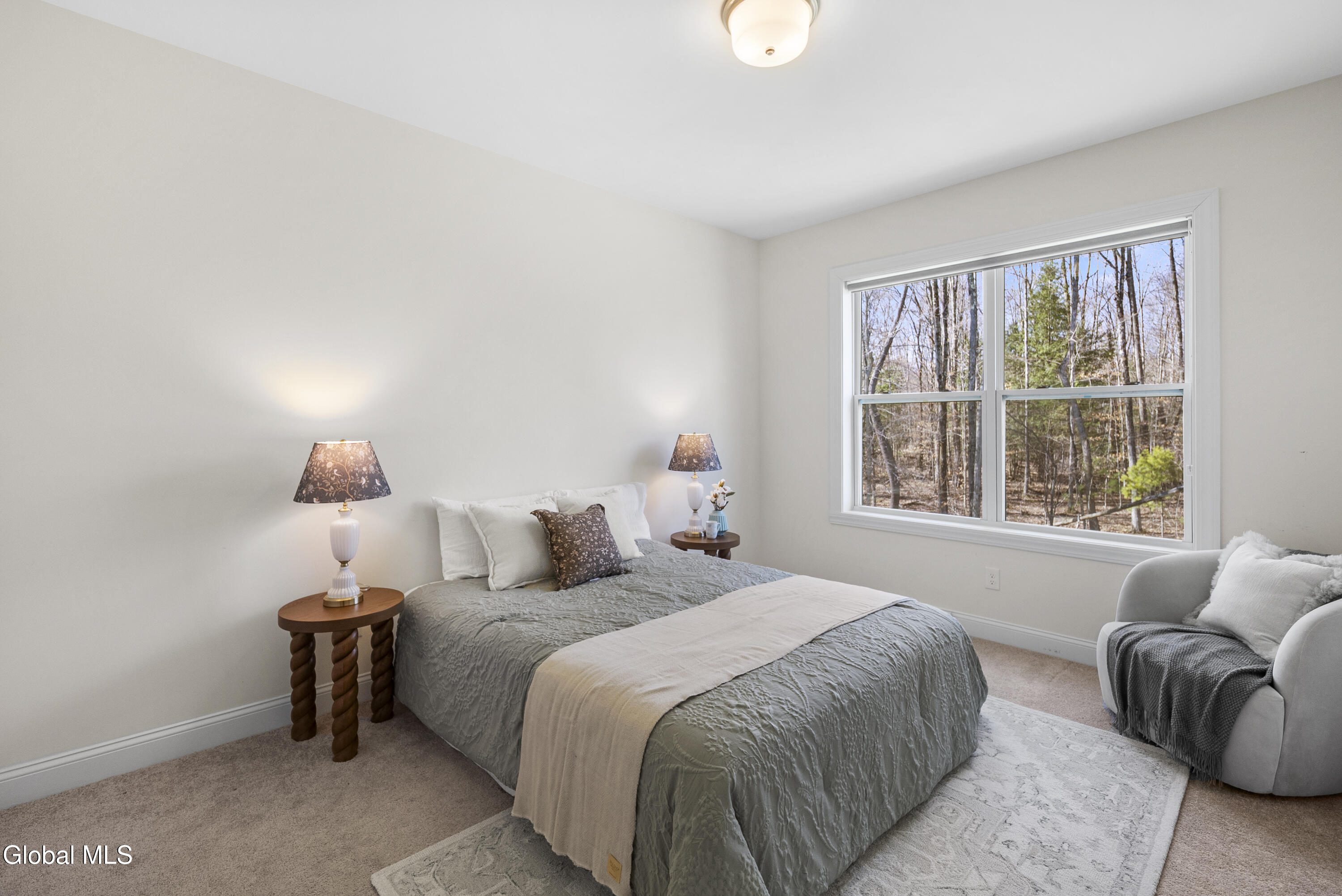 10 Basswood Court Ballston Lake NY 12019