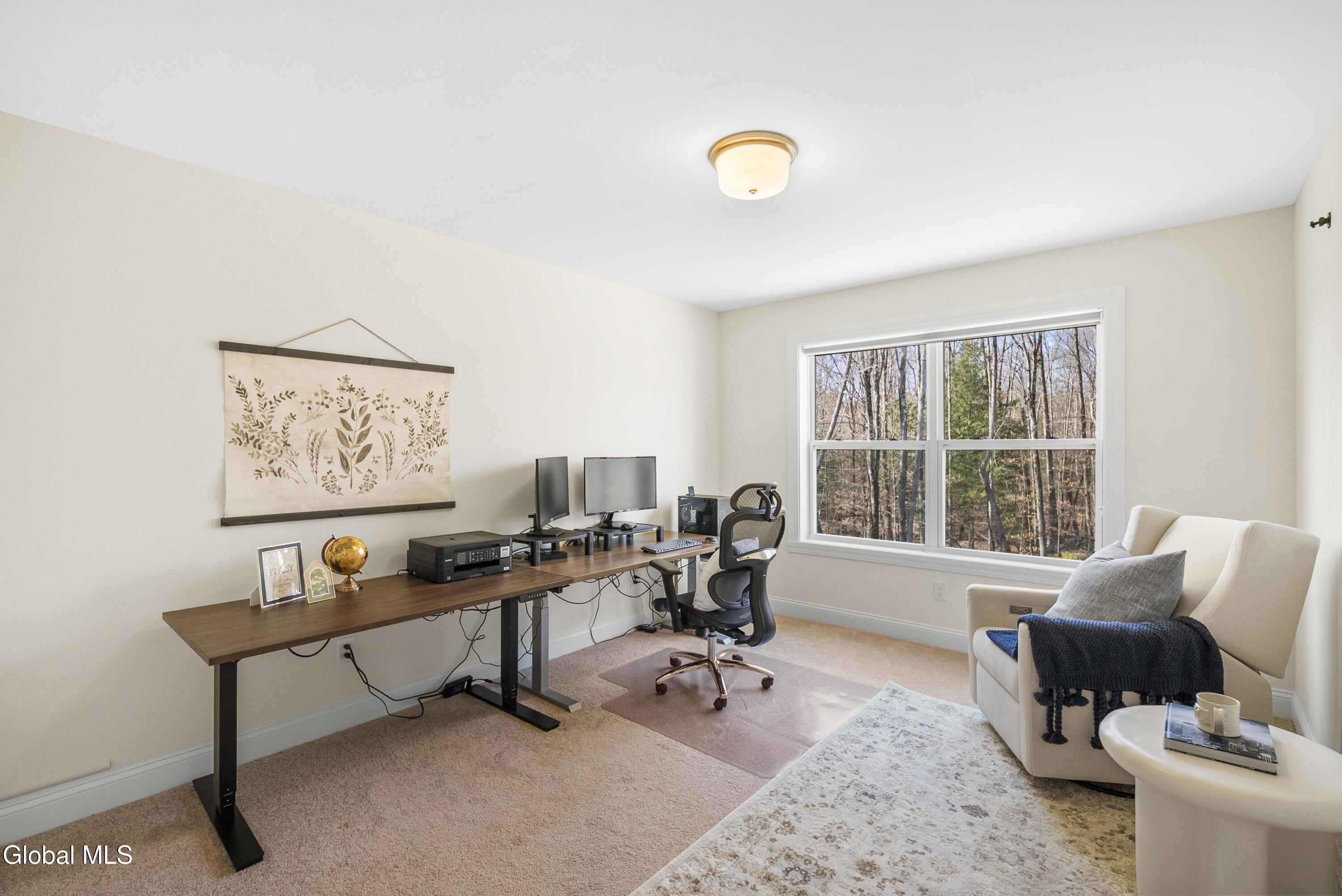 10 Basswood Court Ballston Lake NY 12019
