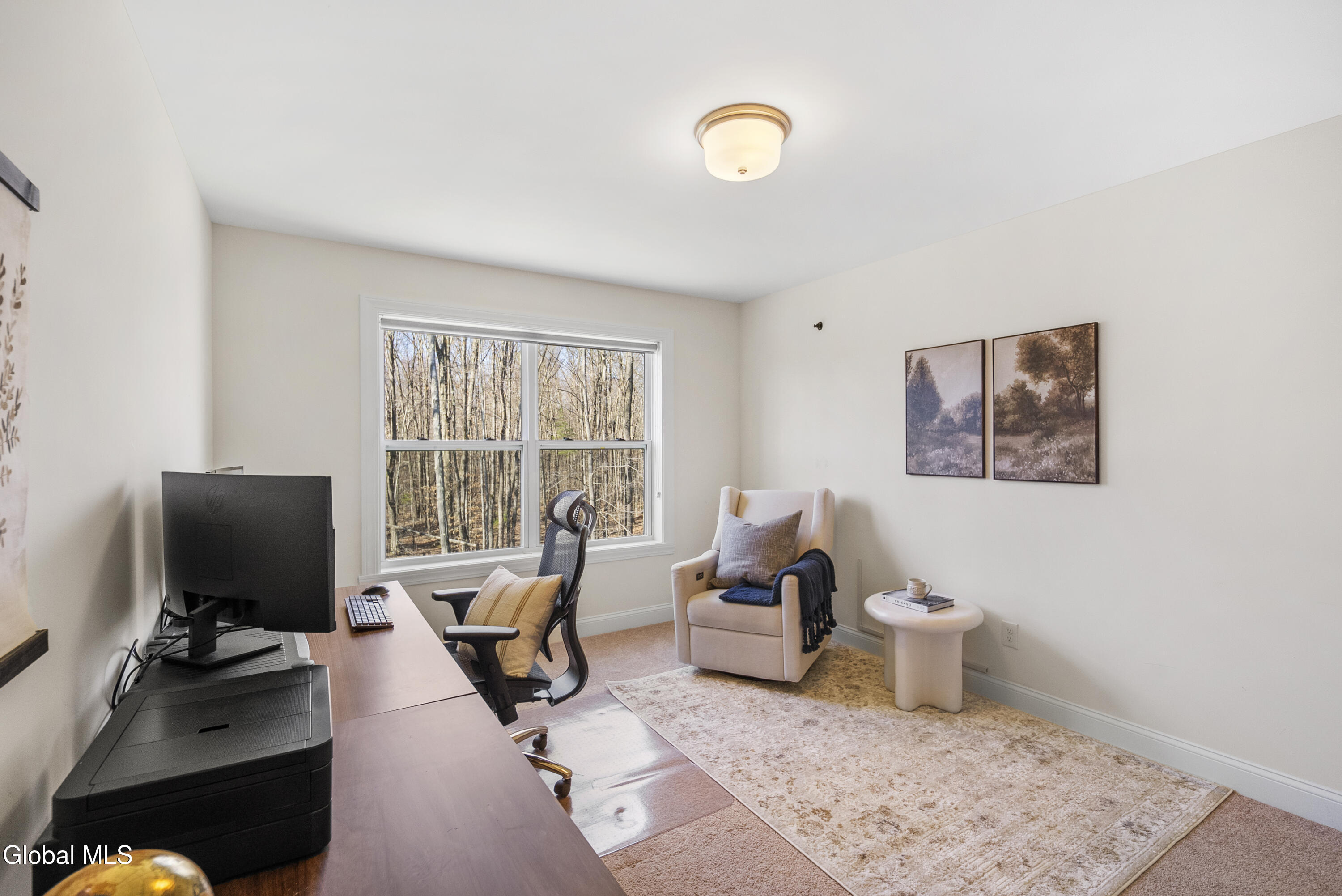 10 Basswood Court Ballston Lake NY 12019