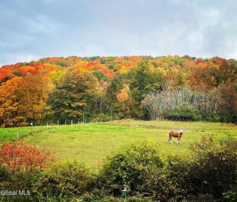 1187 County Route 31 Granville NY 12832
