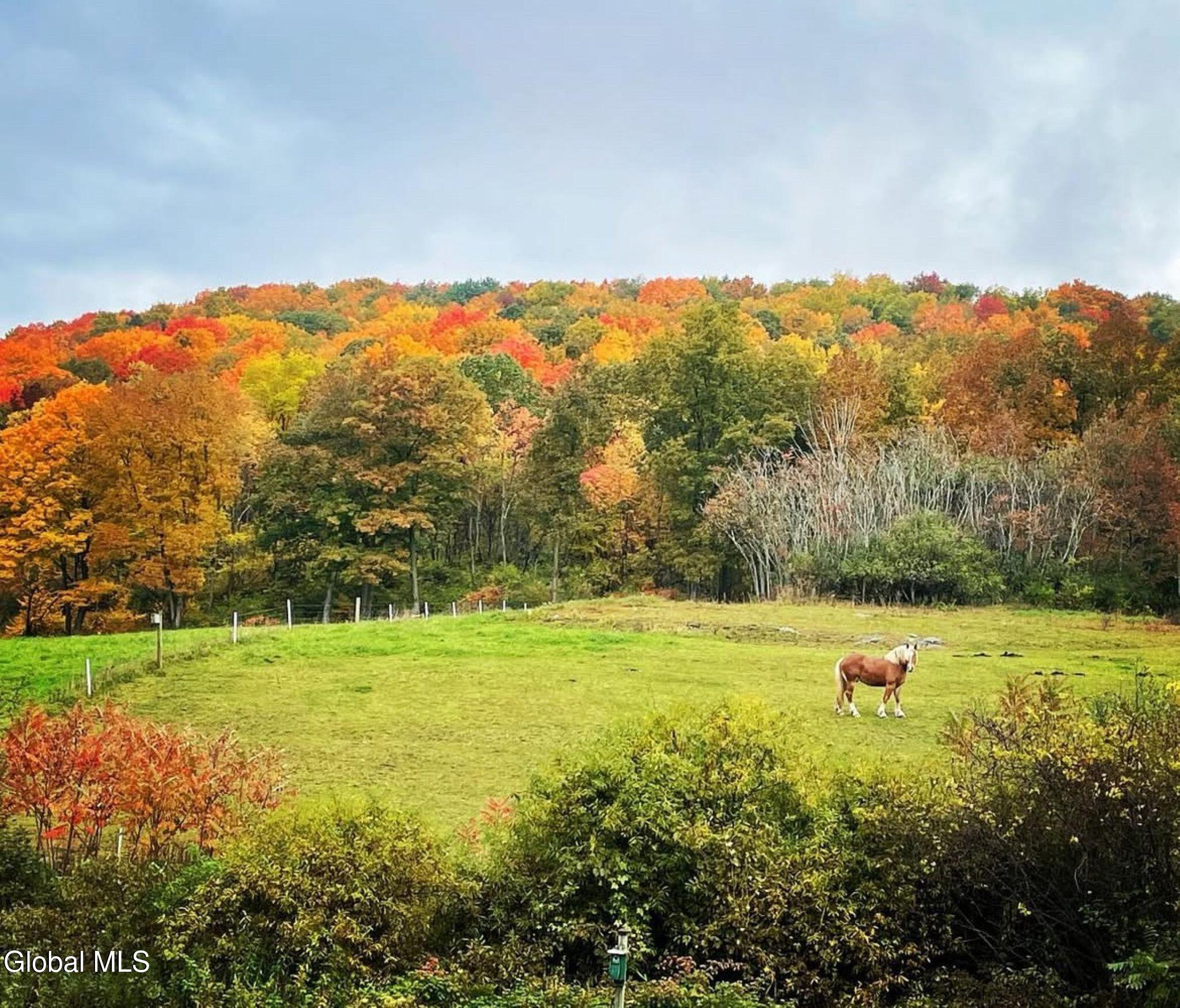 1187 County Route 31 Granville NY 12832