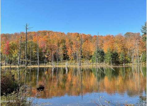 1187 County Route 31 Granville NY 12832