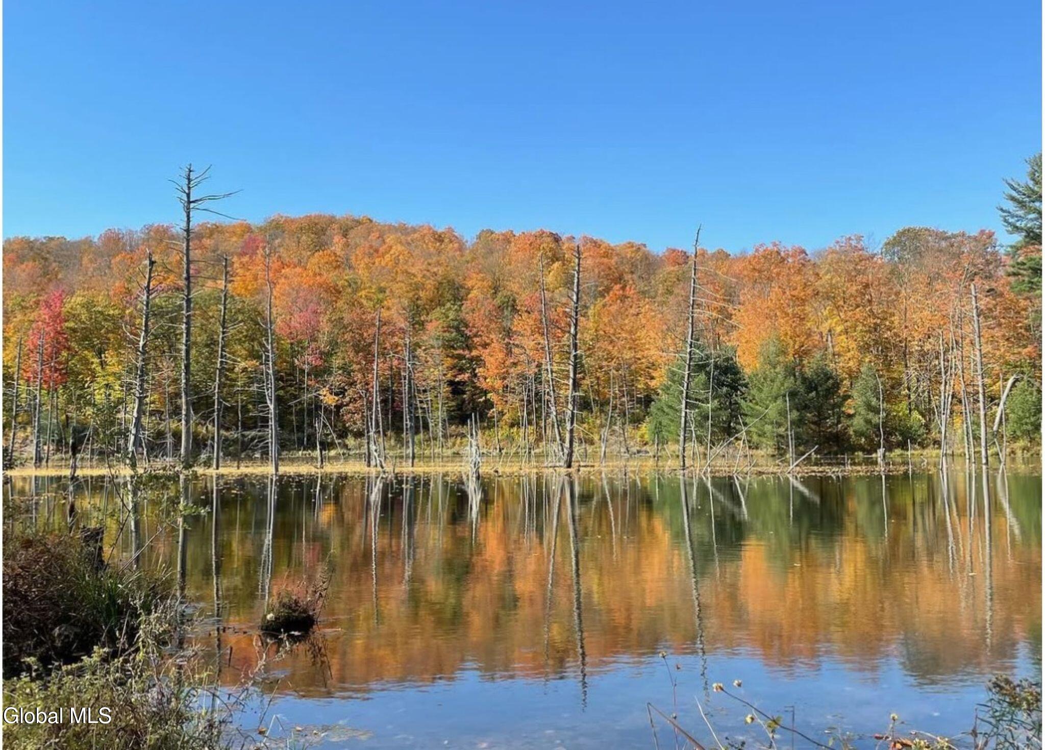 1187 County Route 31 Granville NY 12832