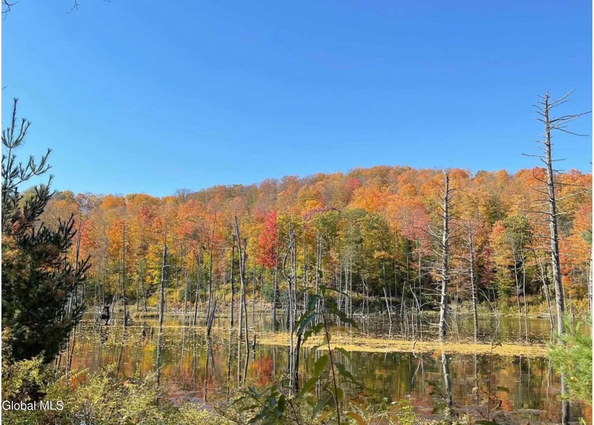 1187 County Route 31 Granville NY 12832