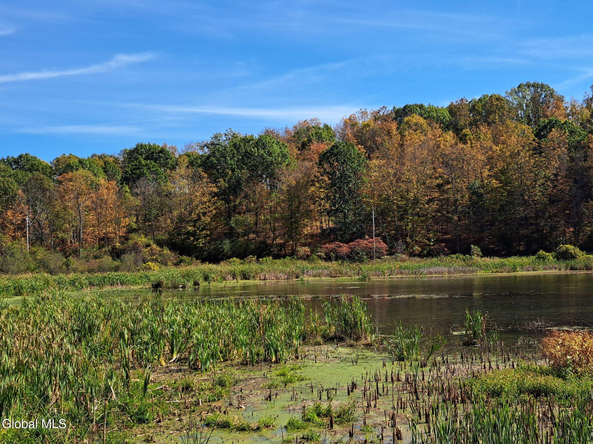 1187 County Route 31 Granville NY 12832