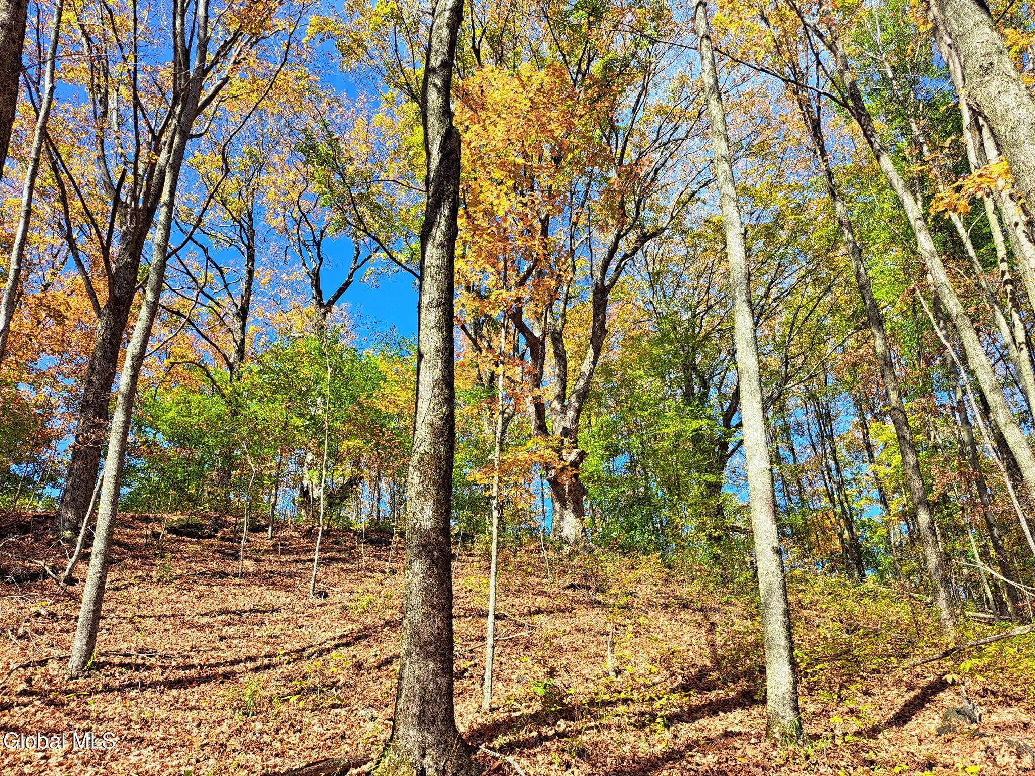 1187 County Route 31 Granville NY 12832