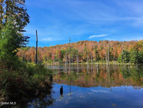 1187 County Route 31 Granville NY 12832