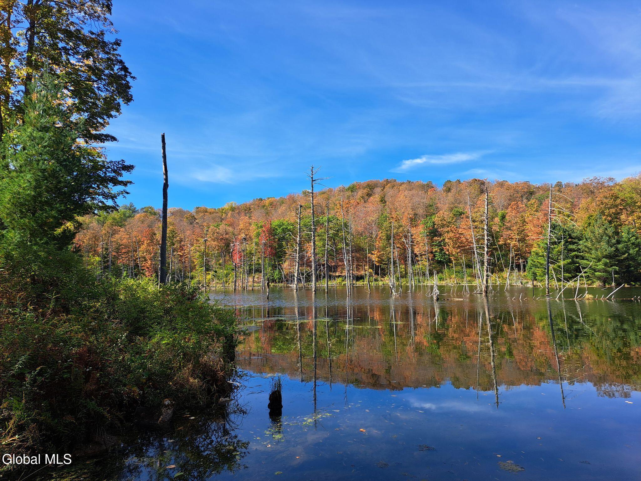 1187 County Route 31 Granville NY 12832