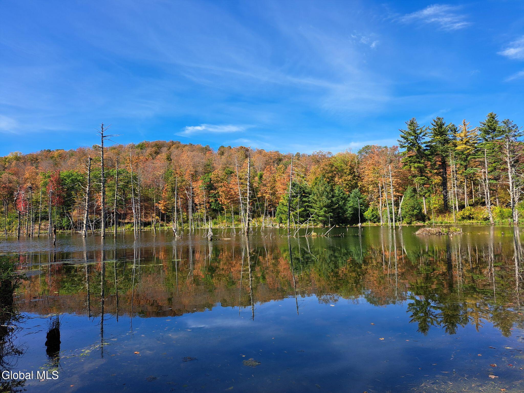 1187 County Route 31 Granville NY 12832