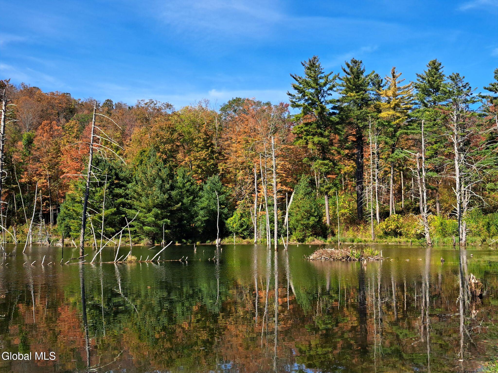 1187 County Route 31 Granville NY 12832