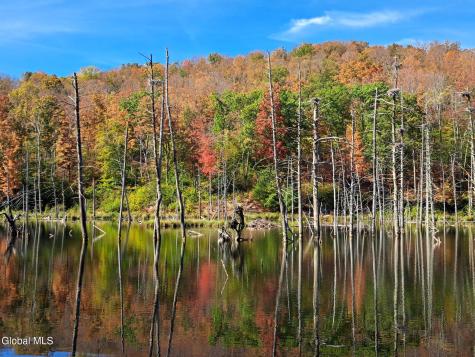 1187 County Route 31 Granville NY 12832