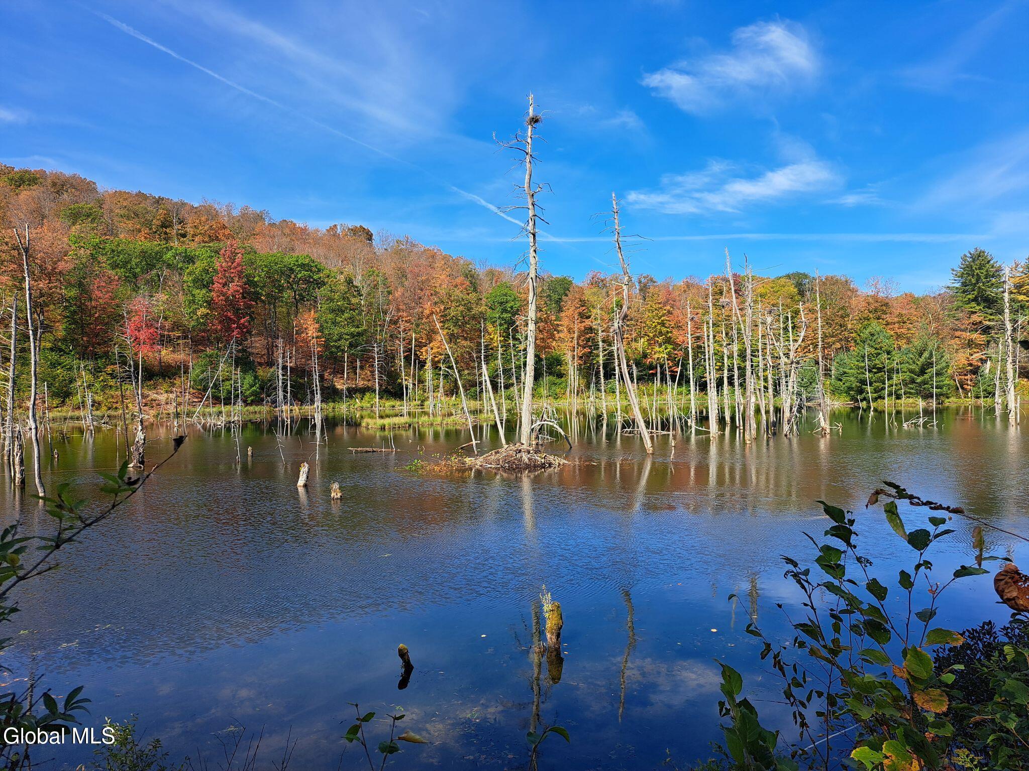 1187 County Route 31 Granville NY 12832