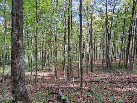 1187 County Route 31 Granville NY 12832