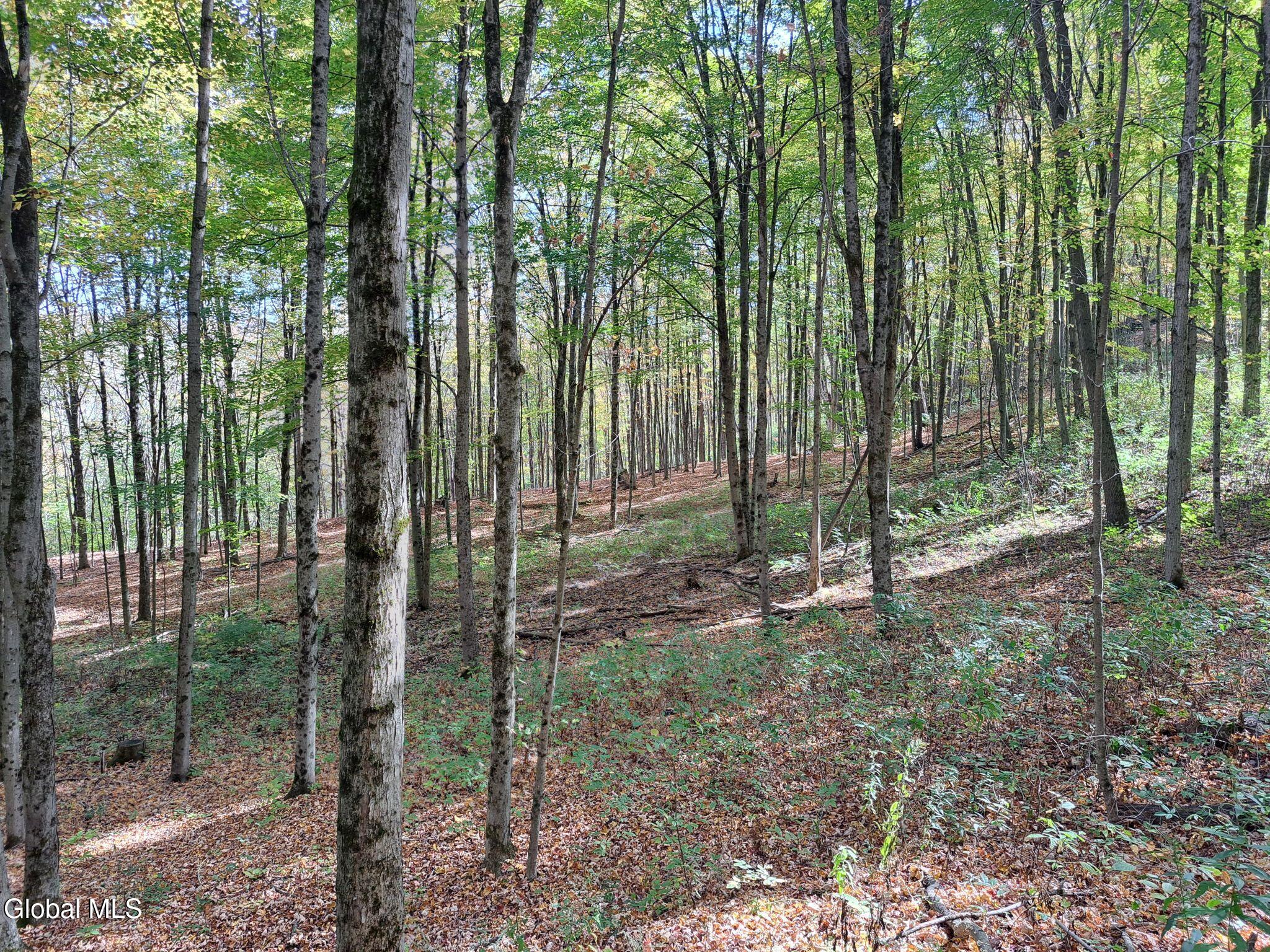 1187 County Route 31 Granville NY 12832