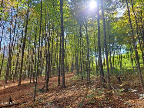 1187 County Route 31 Granville NY 12832