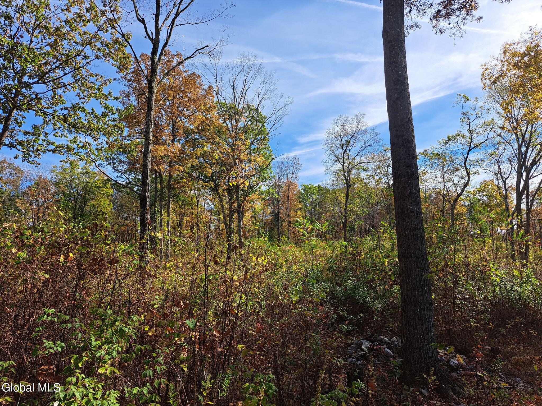 1187 County Route 31 Granville NY 12832