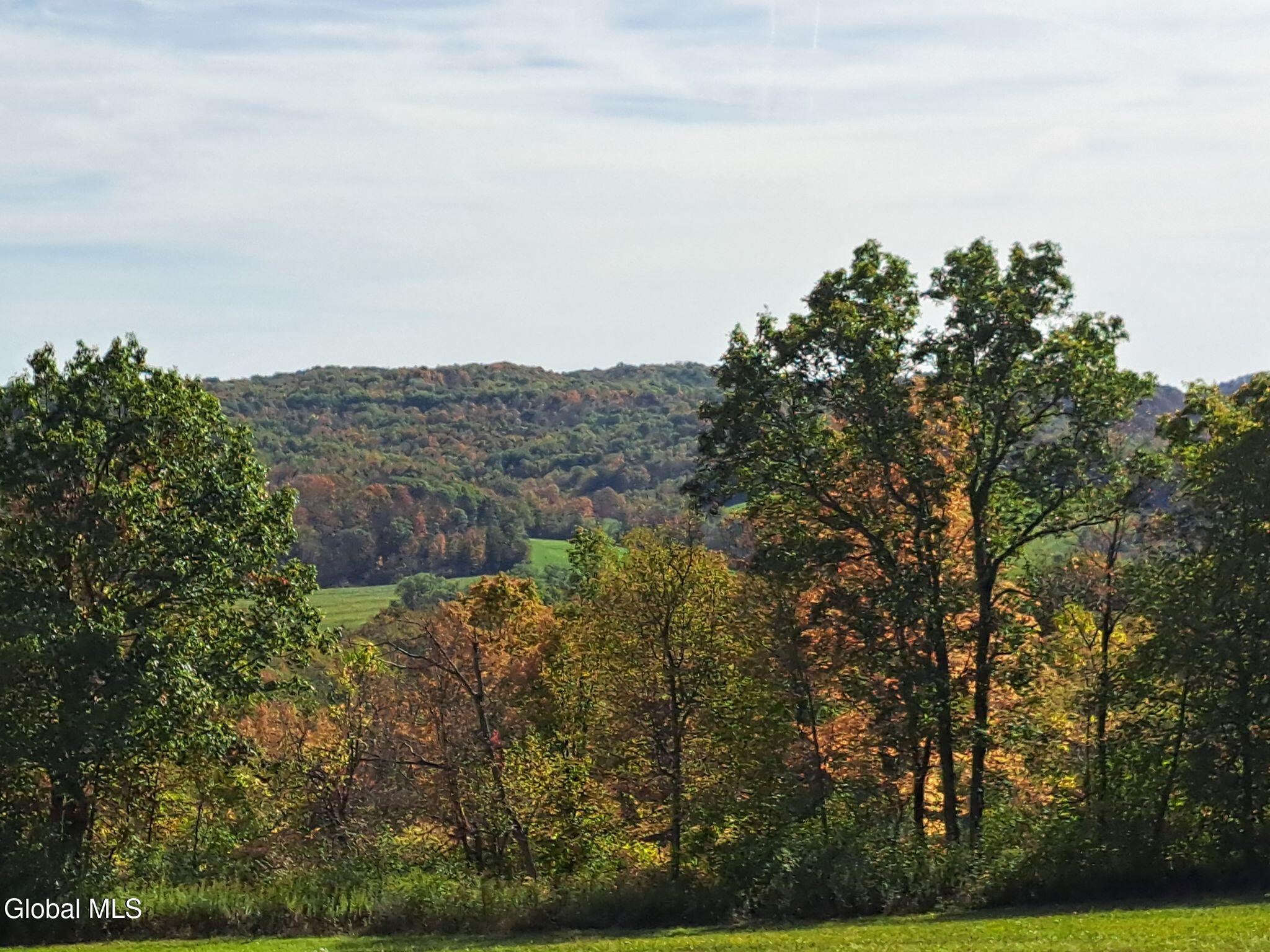 1187 County Route 31 Granville NY 12832