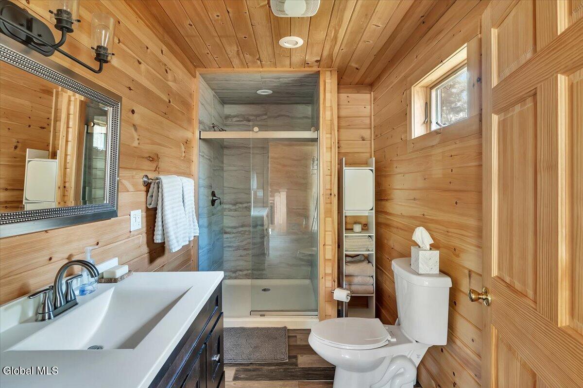 8 Red Wing Road Adirondack NY 12808