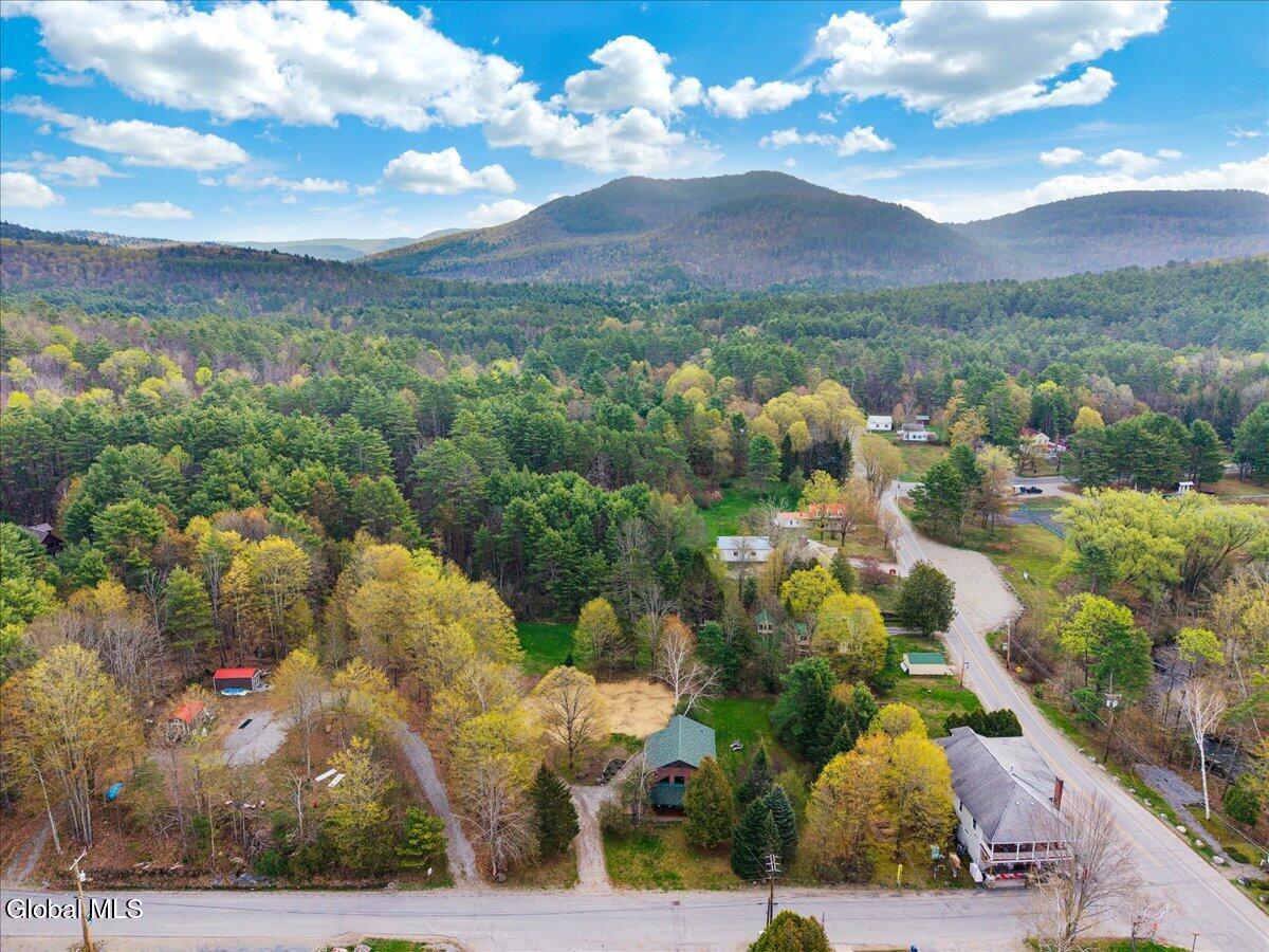 8 Red Wing Road Adirondack NY 12808