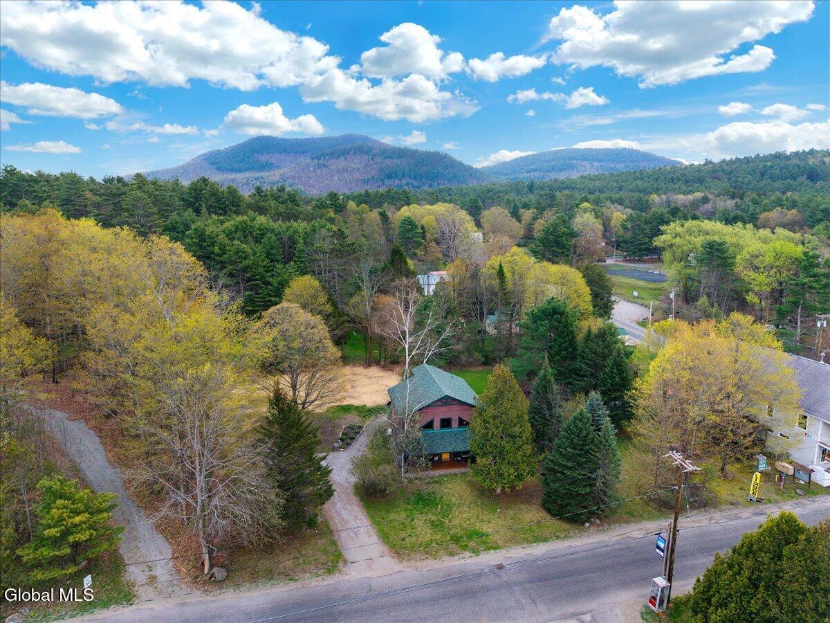 8 Red Wing Road Adirondack NY 12808