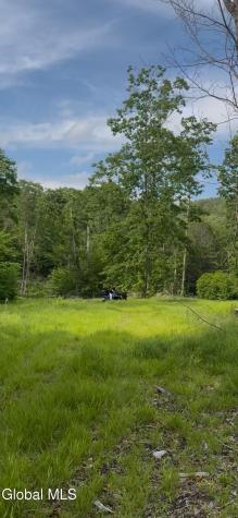 1582 S Shore Road Hadley NY 12835