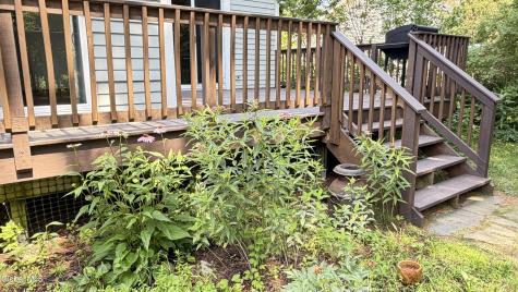 31 Oakwood Place Delmar NY 12054