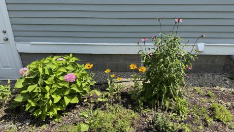 31 Oakwood Place Delmar NY 12054