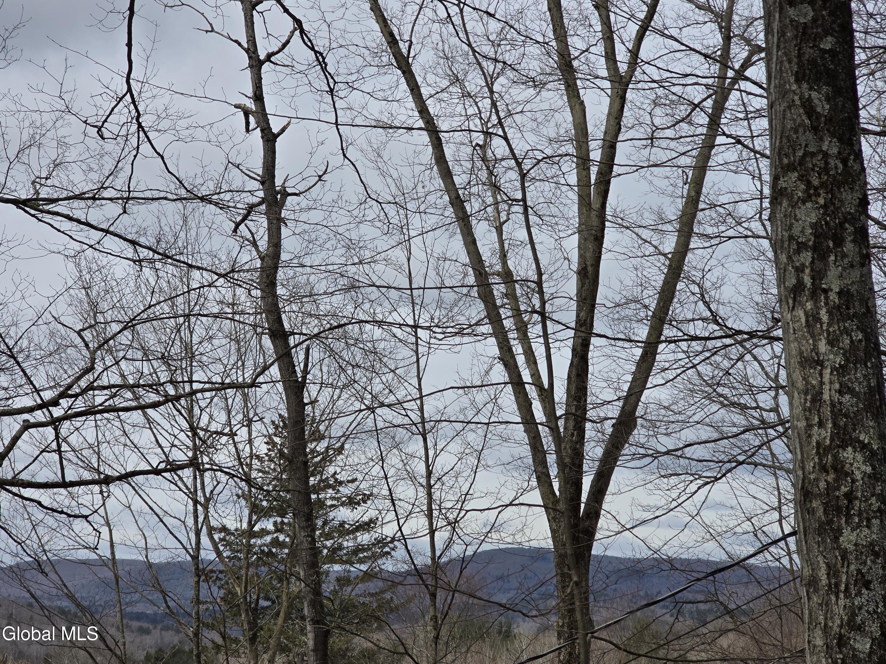 14 East Road Stephentown NY 12168
