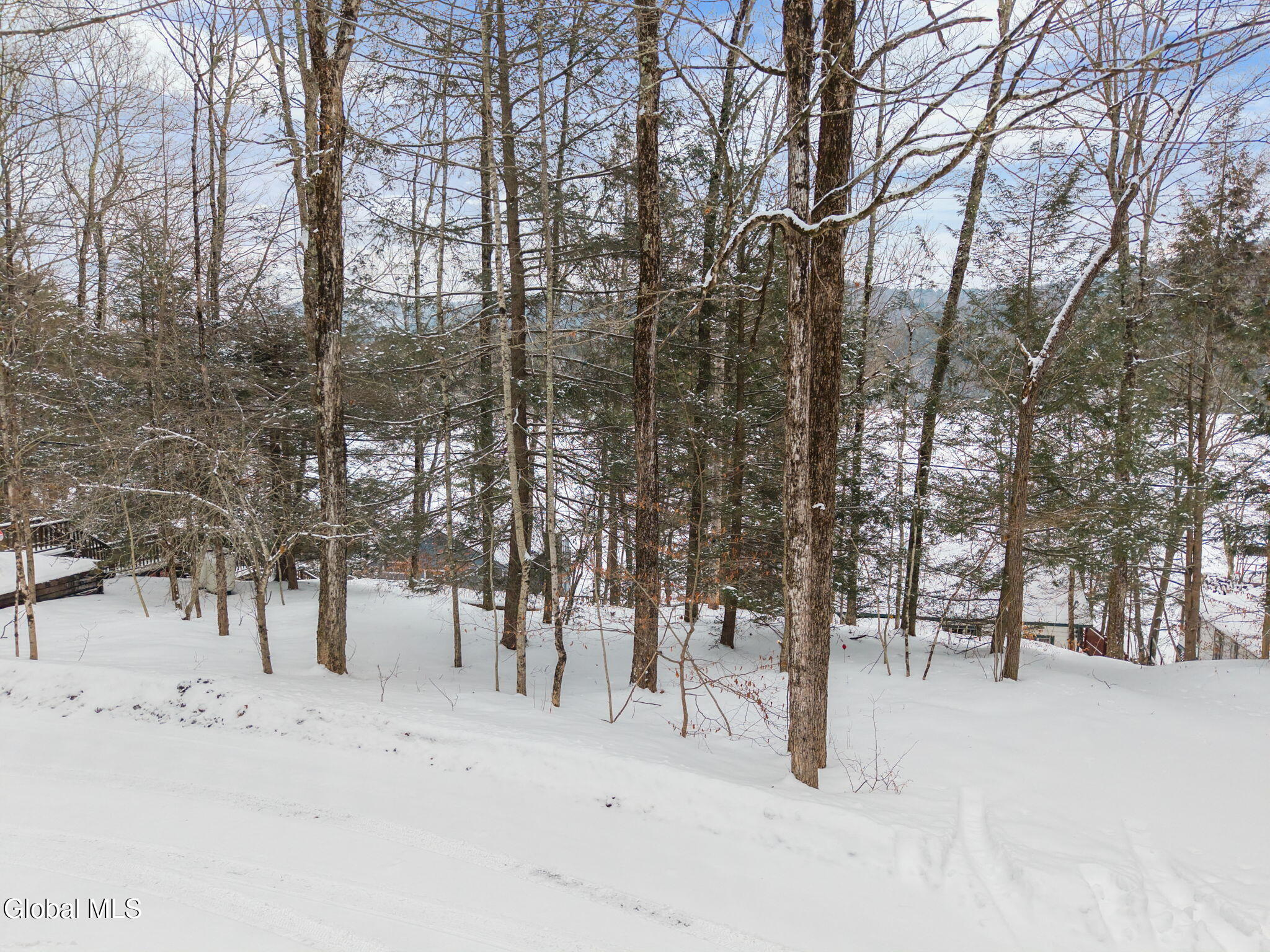 105 Mcnamee Road Canaan NY 12029