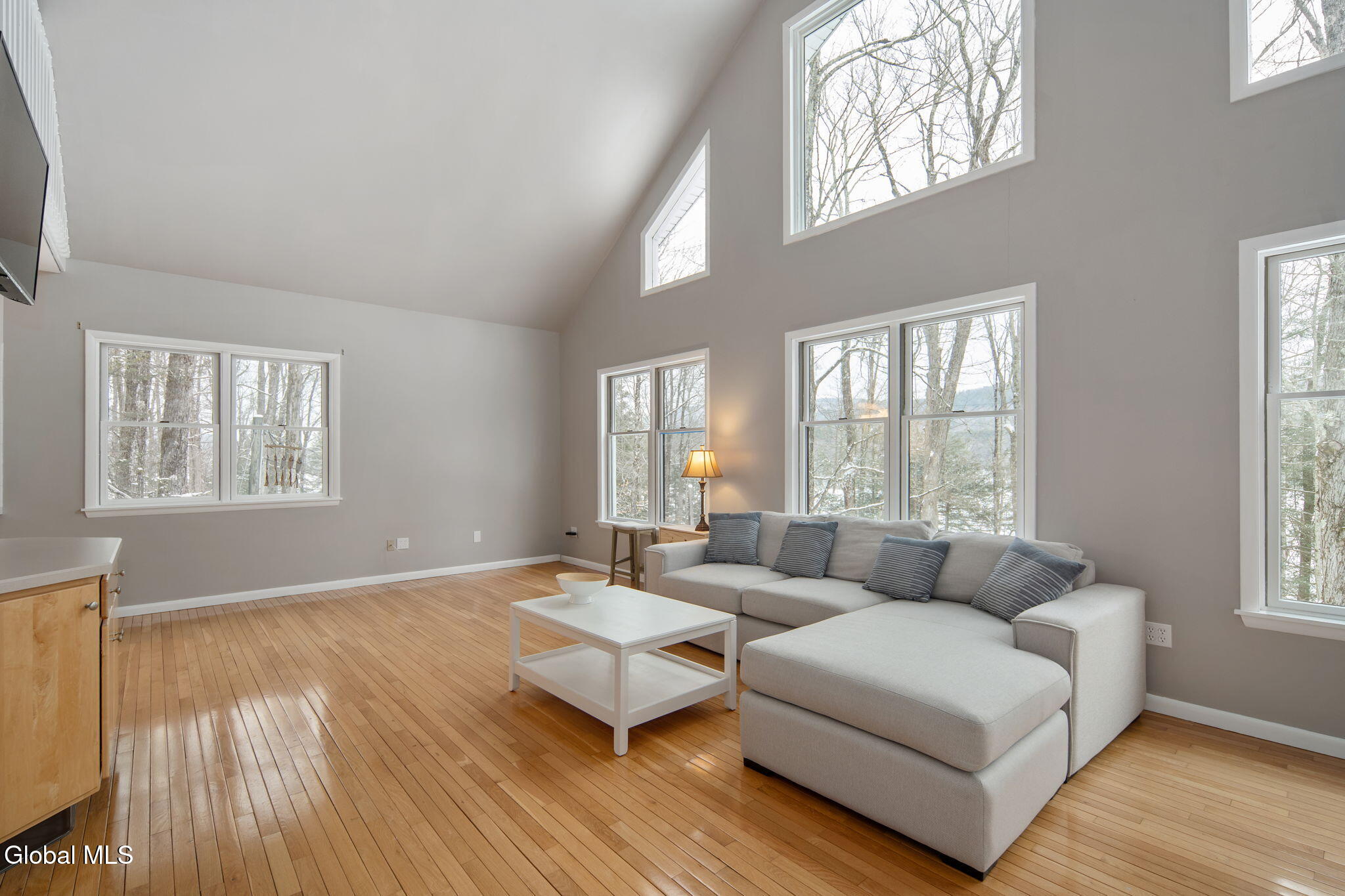 105 Mcnamee Road Canaan NY 12029