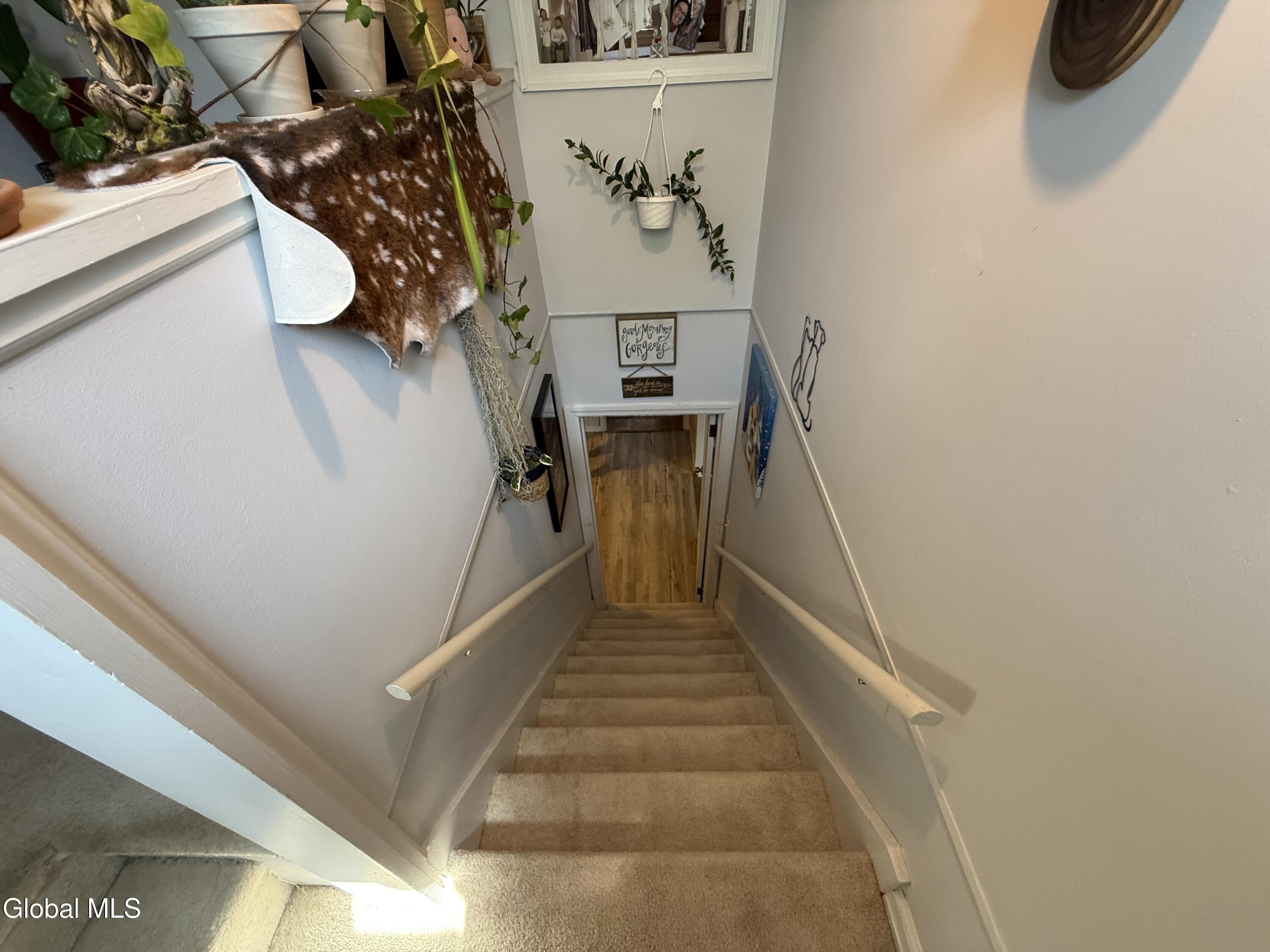 1116 Austin Place Schenectady NY 12306