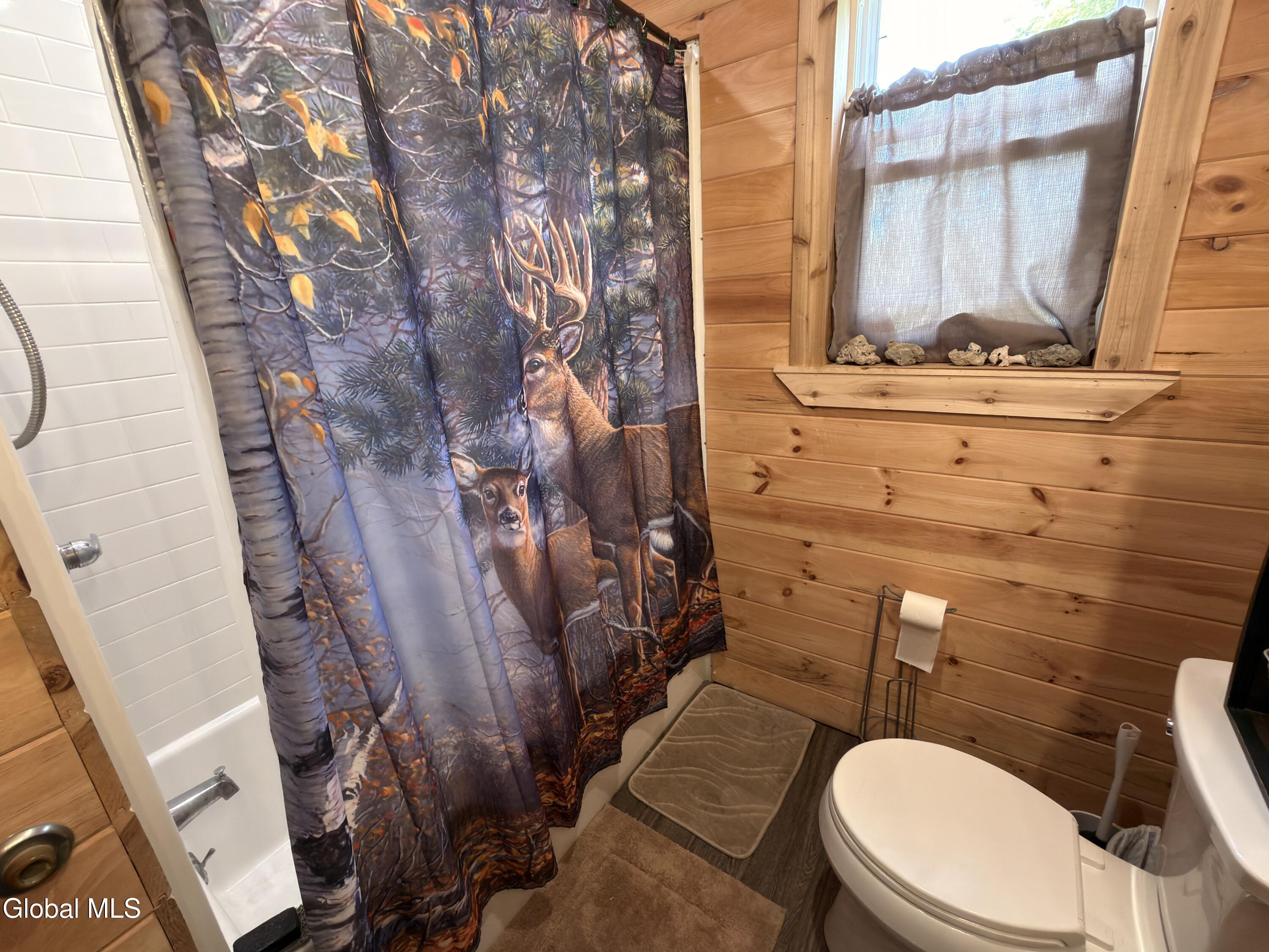 93 Dresden Road Whitehall NY 12819