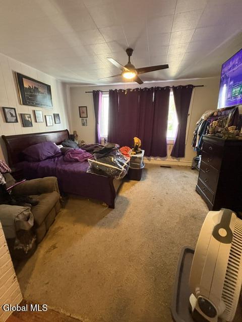 17 Swan Street Green Island NY 12183