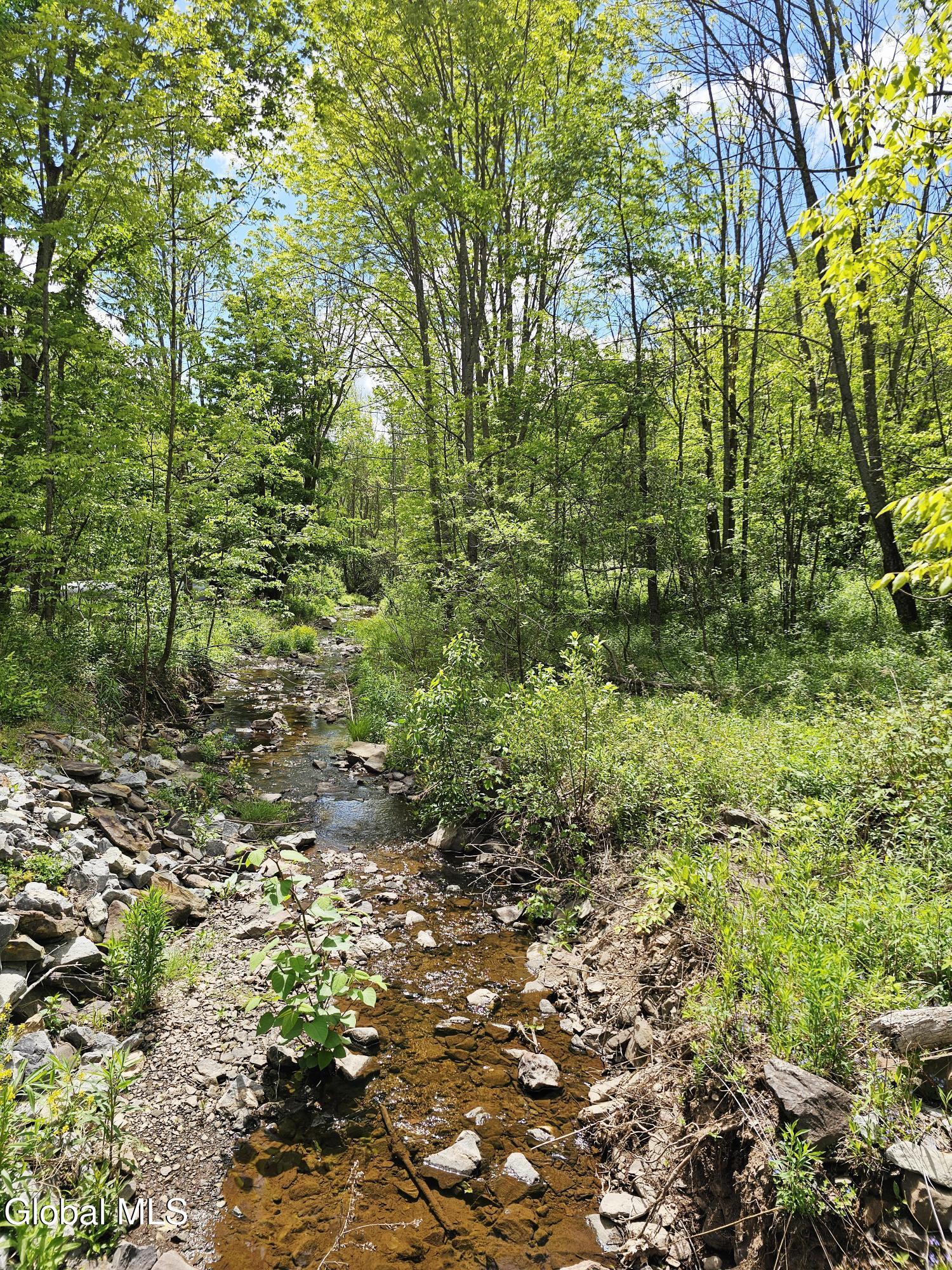 143 Gulf Road Middleburgh NY 12120
