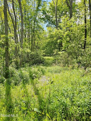 143 Gulf Road Middleburgh NY 12120