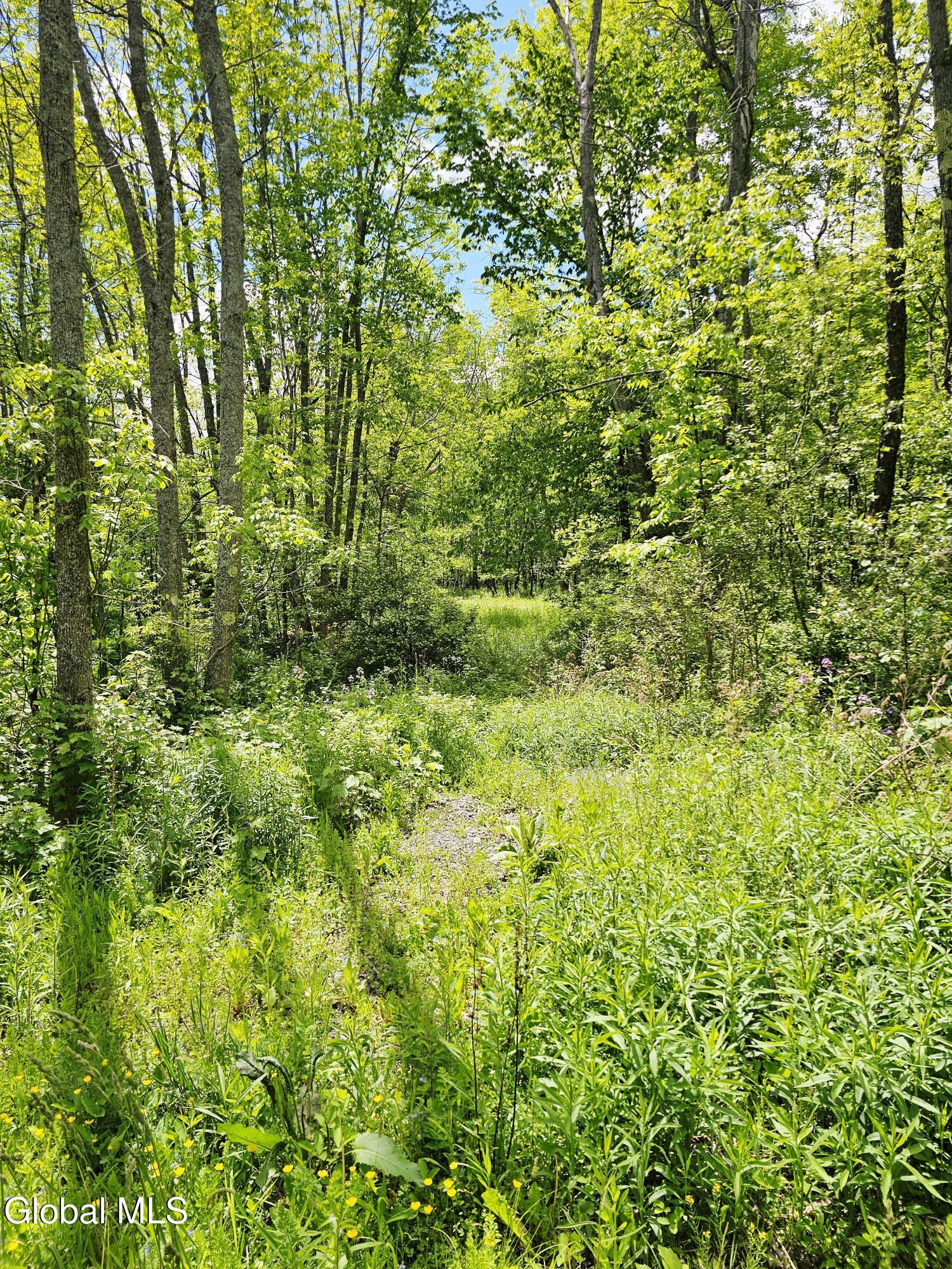 143 Gulf Road Middleburgh NY 12120