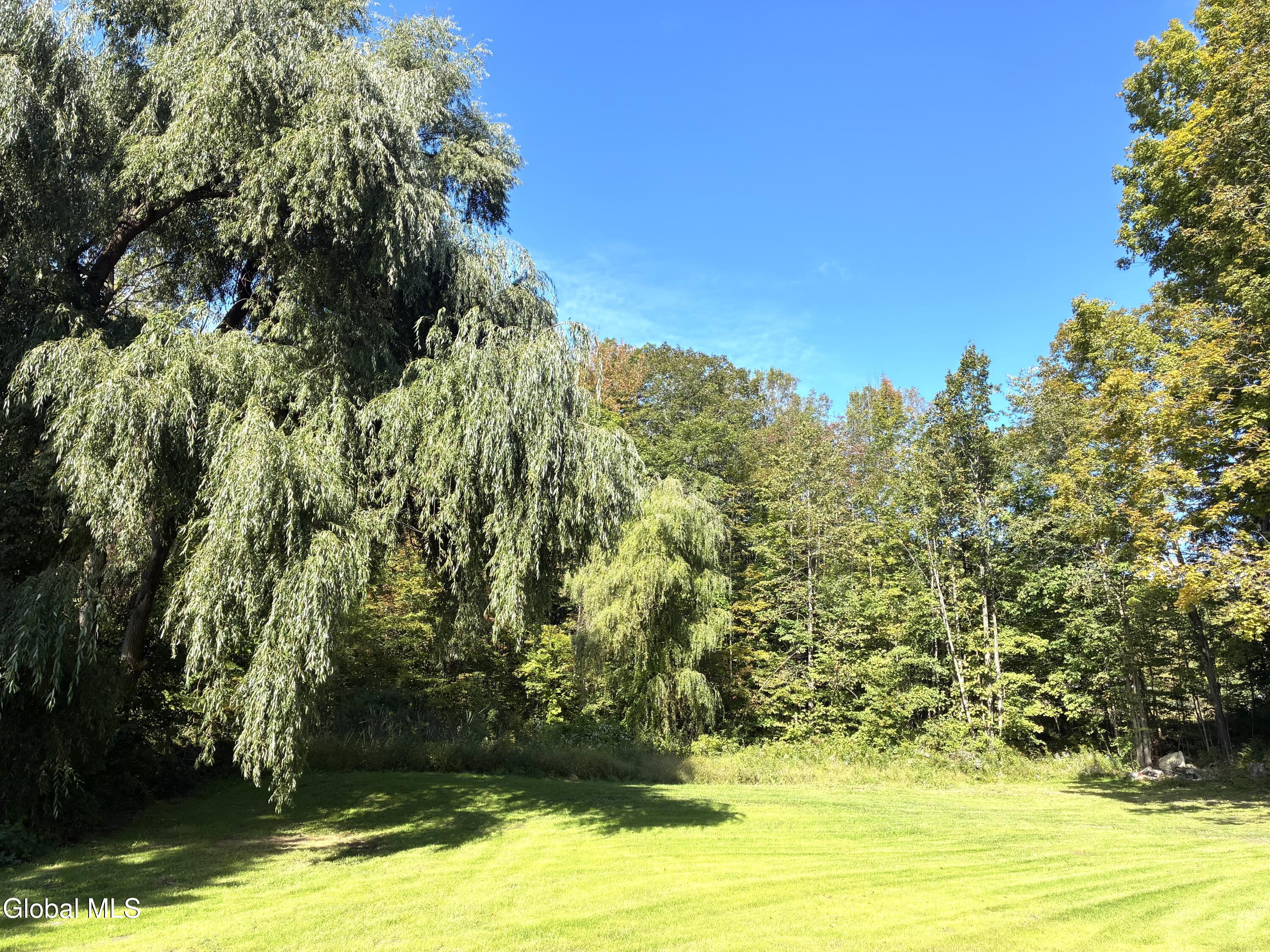 14073 New York 22 Clemons NY 12819